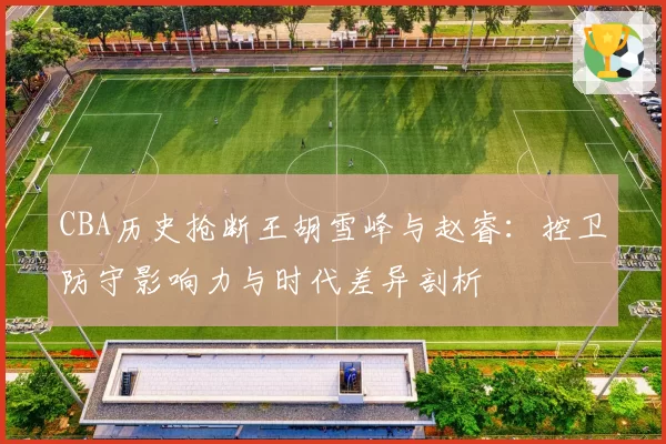 CBA历史抢断王胡雪峰与赵睿：控卫防守影响力与时代差异剖析