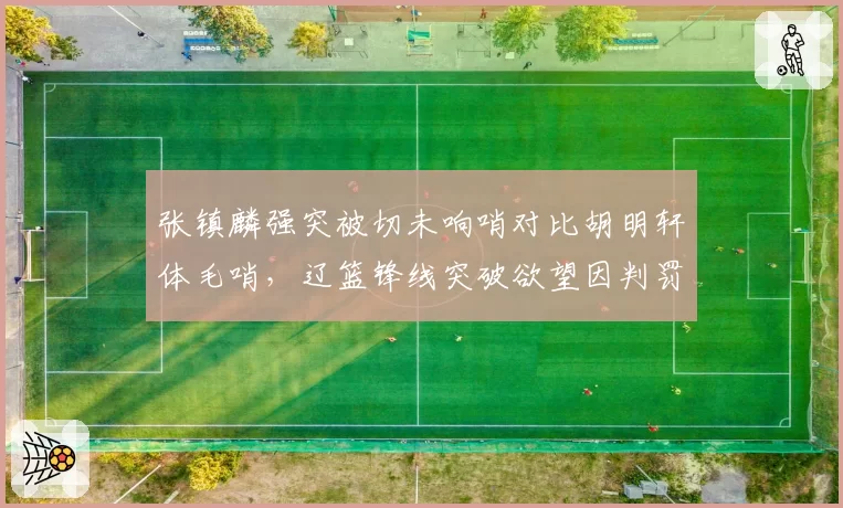 张镇麟强突被切未响哨对比胡明轩体毛哨，辽篮锋线突破欲望因判罚差异骤降