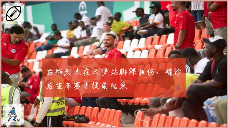 兹维列夫在汉堡站脚踝扭伤，确诊后宣布赛季提前结束