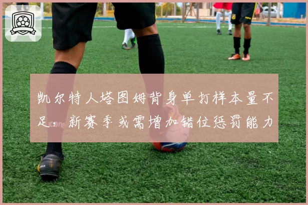 凯尔特人塔图姆背身单打样本量不足，新赛季或需增加错位惩罚能力