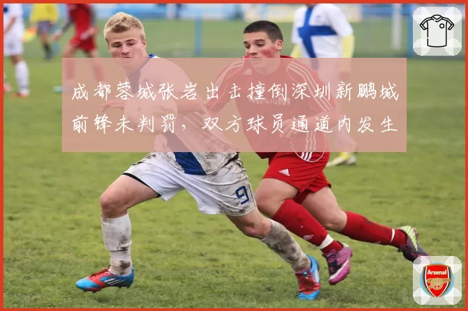 成都蓉城张岩出击撞倒深圳新鹏城前锋未判罚，双方球员通道内发生肢体冲突