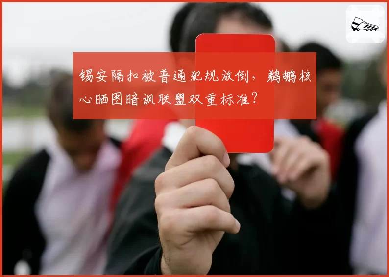锡安隔扣被普通犯规放倒，鹈鹕核心晒图暗讽联盟双重标准？